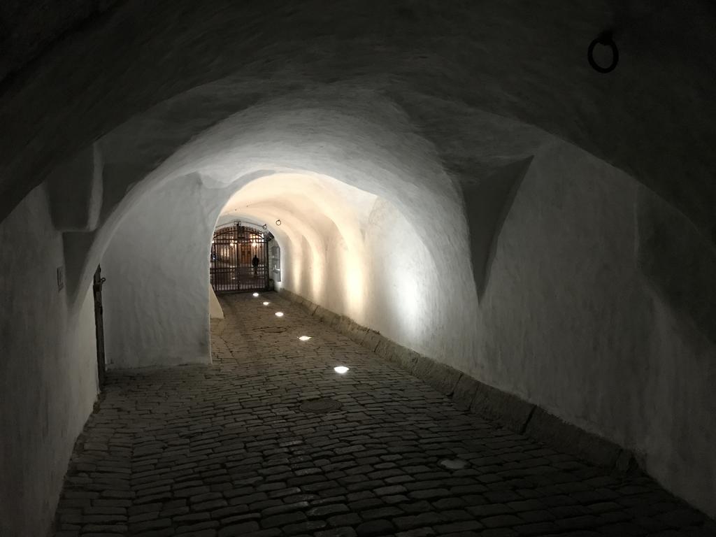 Old Bishop'S House Apartment Tallinn Bagian luar foto